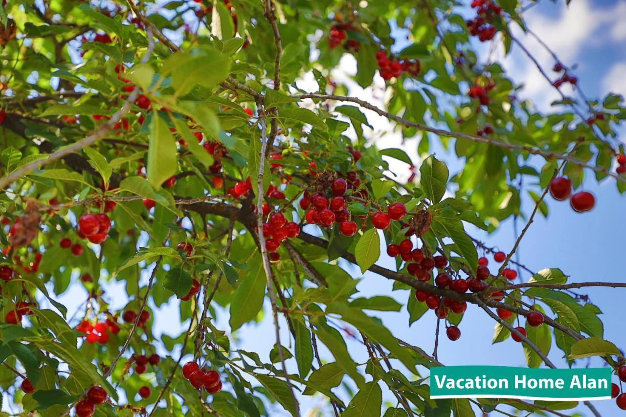Vacation Home Alan 2 Kulen Vakuf Bagian luar foto