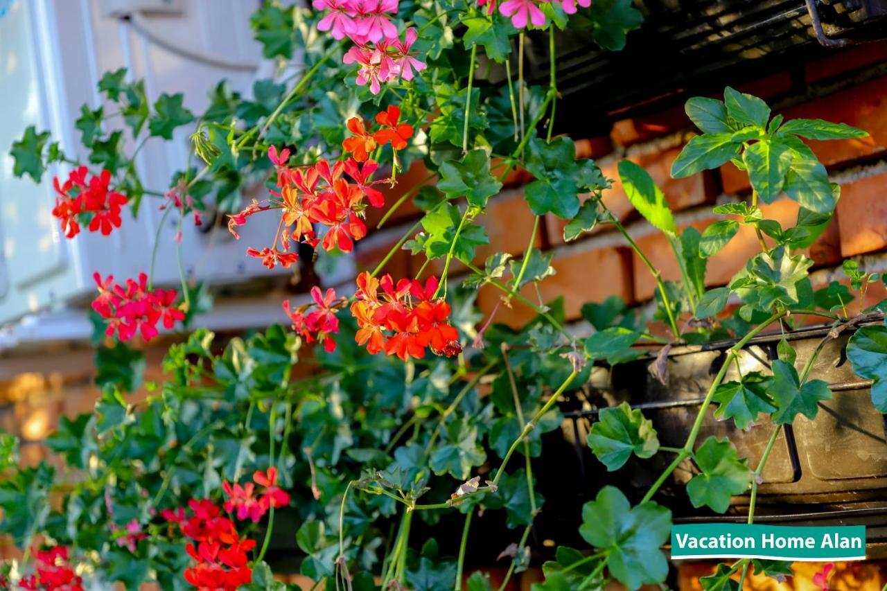 Vacation Home Alan 2 Kulen Vakuf Bagian luar foto
